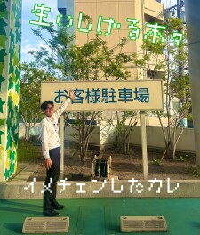 新緑の候